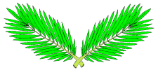 Palm Branches